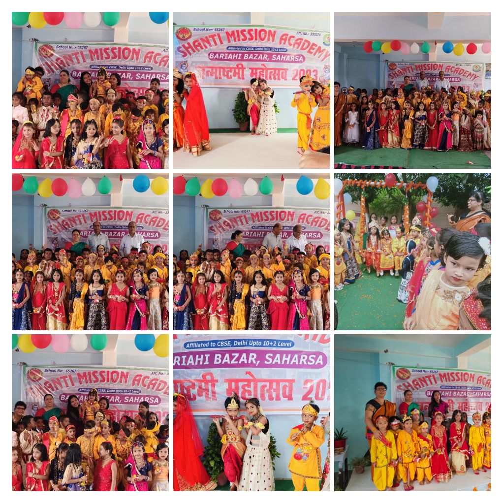 Shanti mission academy danapur